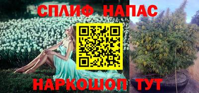 apvp Новокубанск