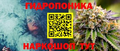 эйфоретик Новозыбков